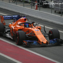 Alonso - McLaren MCL33